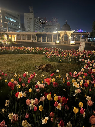 🎷 初回の放送、いかがでしたか？