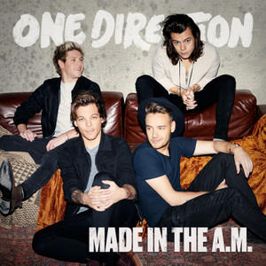 1dmadeintheamstandard