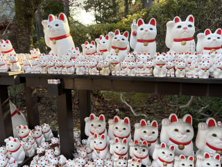 3月2日本日24:30〜のBEAT JAM!!