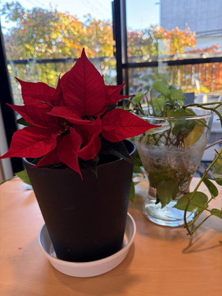 12月22日本日24:30〜のBEAT JAM!!