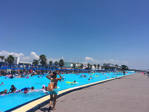Img_7436 Img_7436