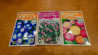 9月24日（火）育てよう日本！咲かせよう日本！たねダンゴでギネス世界記録を達成しよう