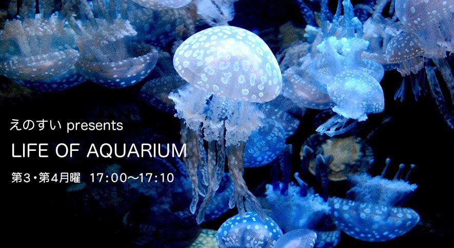 えのすい presents LIFE OF AQUARIUM - Fm yokohama 84.7