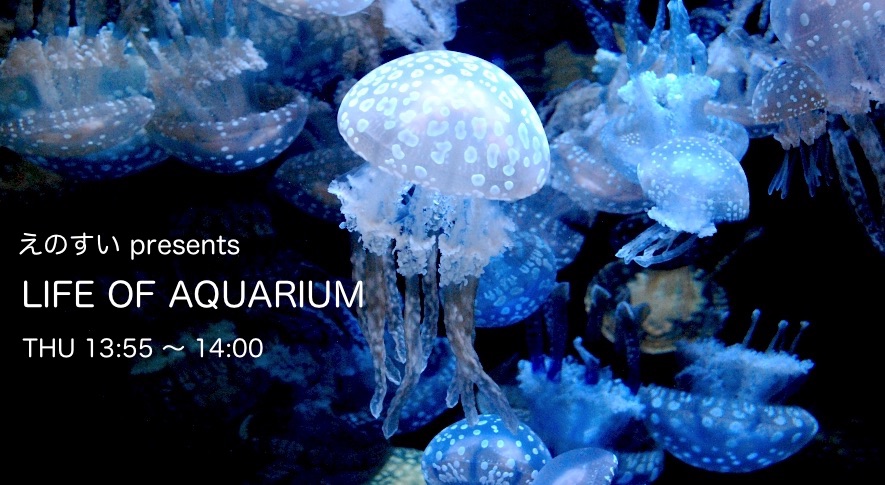 えのすい presents LIFE OF AQUARIUM - Fm yokohama 84.7