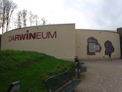 Dawineum_0320141210180714