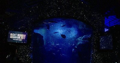 Img_9558 Img_9558