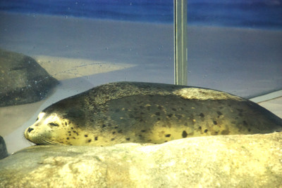 Photo_10