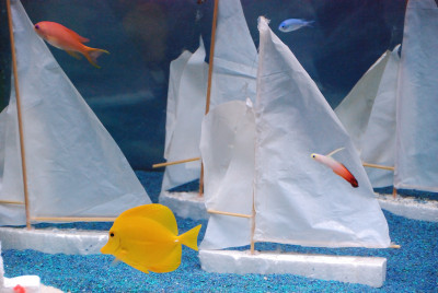 Photo_10