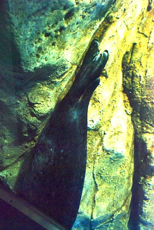 Photo_11