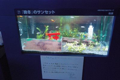 Photo_16