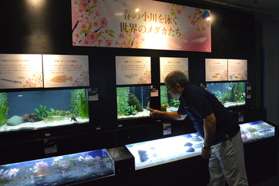 Photo_2