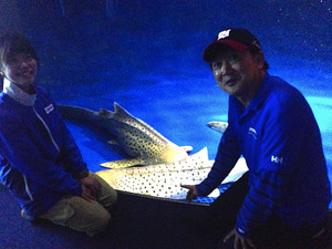 Photo_2