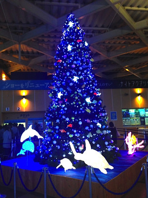 Photo_2