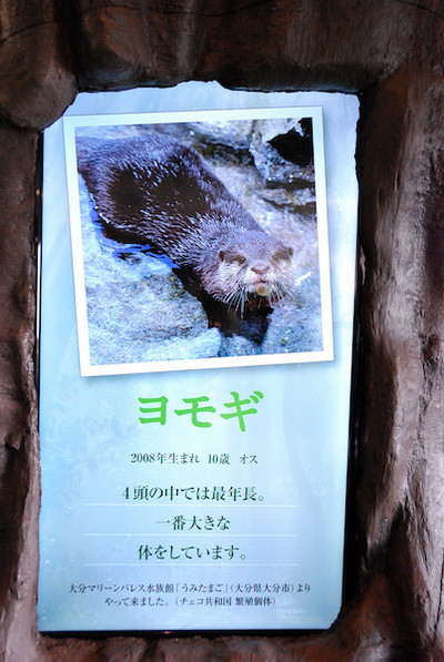 Photo_2 Photo_2