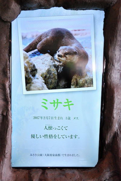 Photo_3 Photo_3