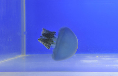 Photo_3