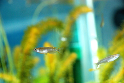 Photo_4