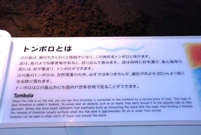 Photo_4