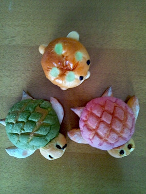 Photo_5