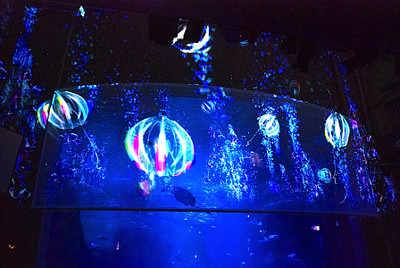 Photo_9