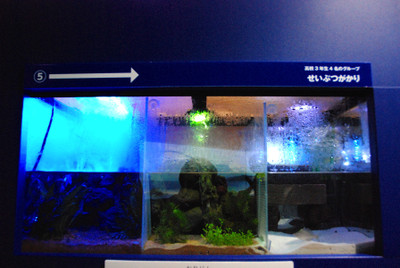 Photo_5