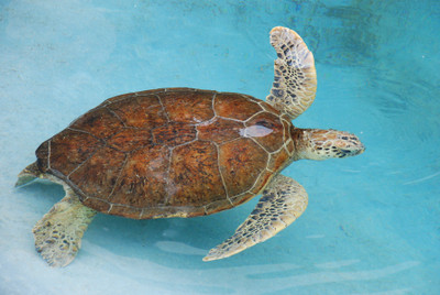 Photo_6
