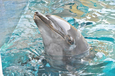 Photo_6