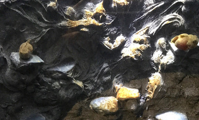 Photo_6 Photo_6