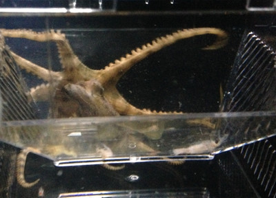 Photo_6