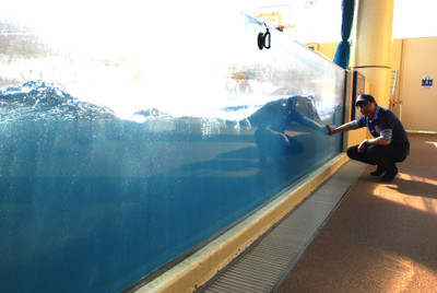 Photo_6