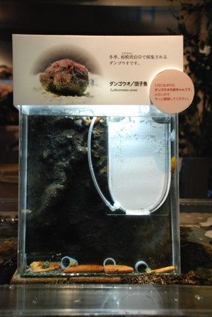 Photo_6