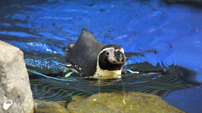 Photo_6 Photo_6