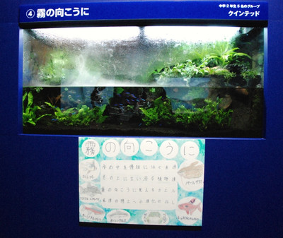Photo_6
