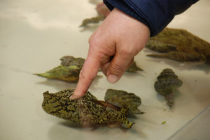 Photo_6