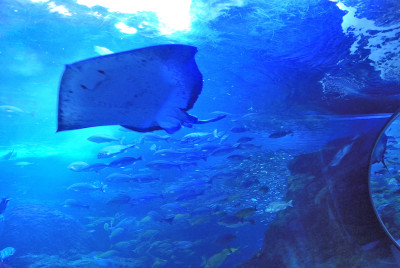 Photo_7