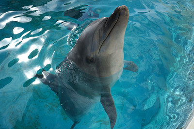 Photo_7
