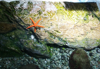 Photo_7