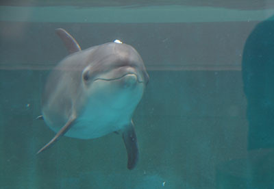 Photo_7