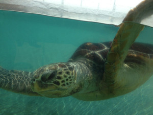 Photo_7