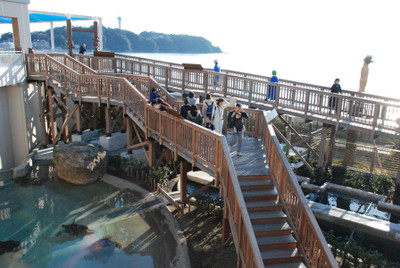 Photo_7