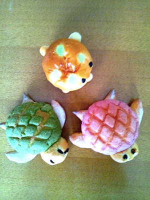 Photo_8