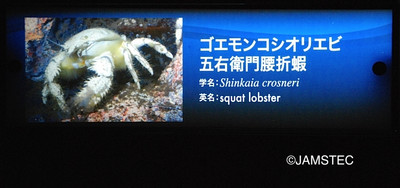 Photo_9