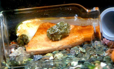 Photo_9