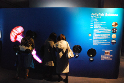 Photo_9