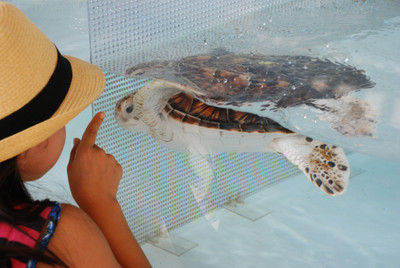 Photo_6