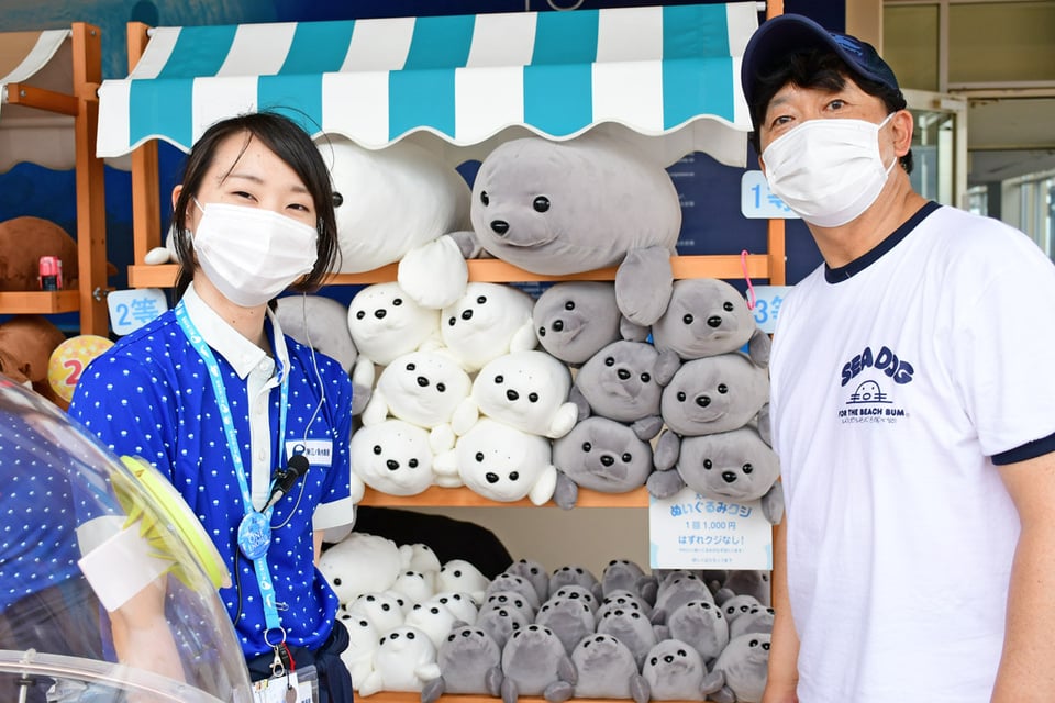 8月２０日放送分 えのすいの人気者 ゴマフアザラシの近況 えのすい Presents Life Of Aquarium Fm Yokohama 84 7