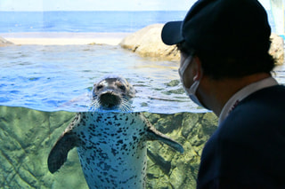 ２月２５日放送分〜えのすいの生き物の命を支える獣医さんのお仕事について！