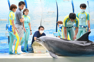 ６月２５日放送分〜えのすい獣医さんのお仕事について。