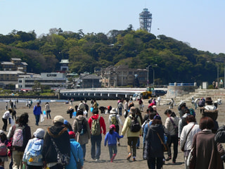 江の島に続く不思議な道　～トンボロを歩こう～　(5月19日放送）