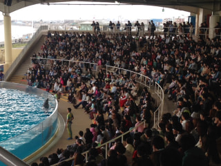 祝！新江ノ島水族館 開業１０周年